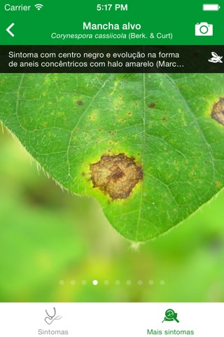 Diagnoses - Doenças da Soja screenshot 4
