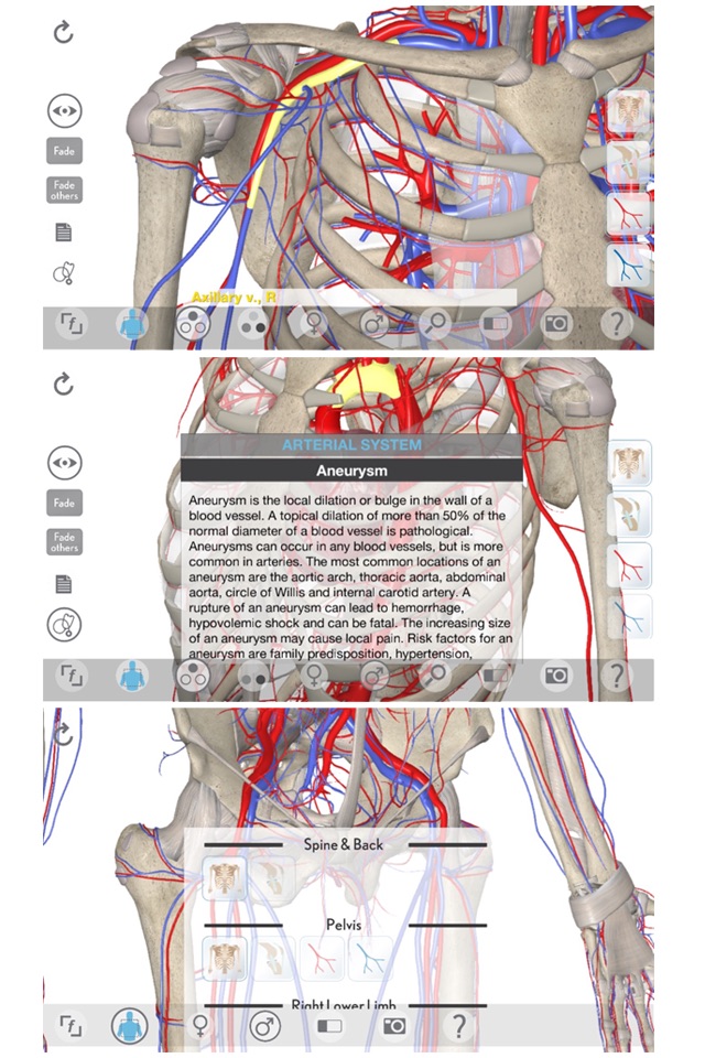 3D Organon Anatomy - Heart, Arteries, and Veins screenshot 2