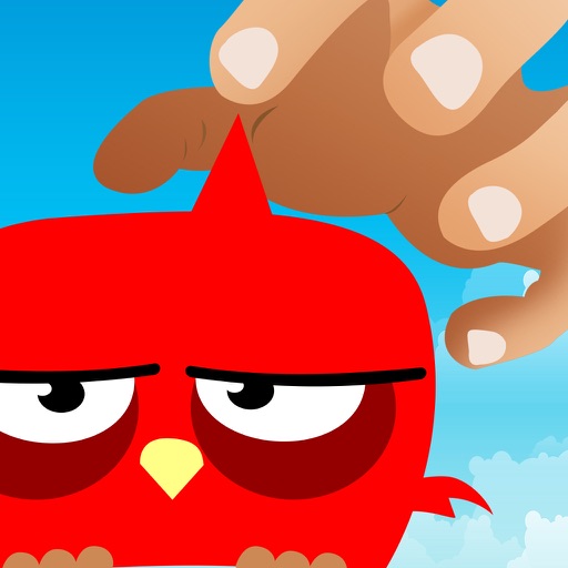 DTMB: Don't Touch My Birdie iOS App