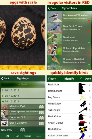 All Birds UK - the Photo Guide screenshot 3