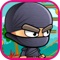 Ninja Mission World Game