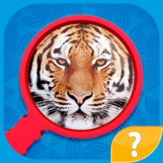 Activities of Zoom Pics - close up zoomed images and guess words trivia quiz game