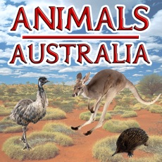 Activities of Animals Australia