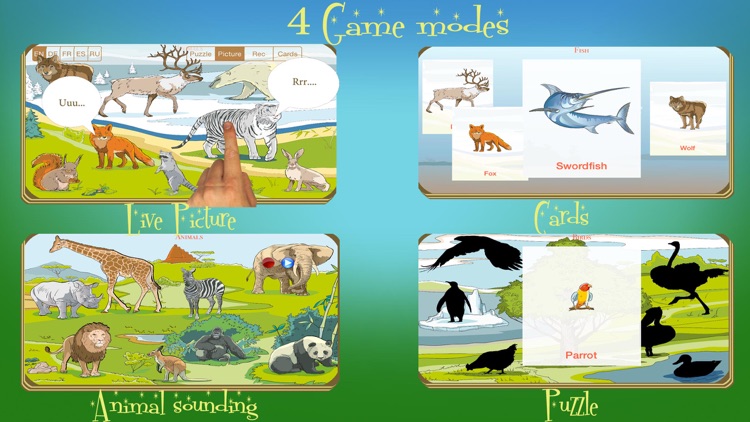 Wunderkind - world of animals game for youngster and cissy