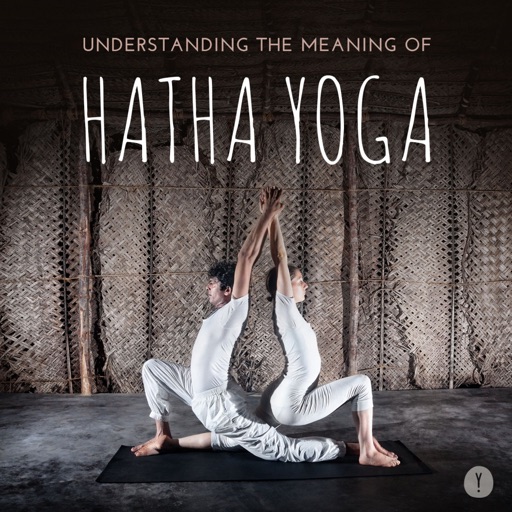 Hatha Yoga 101: Techniques and Tutorials