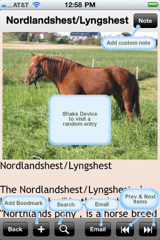 Horse & Pony Encyclopedia screenshot 4