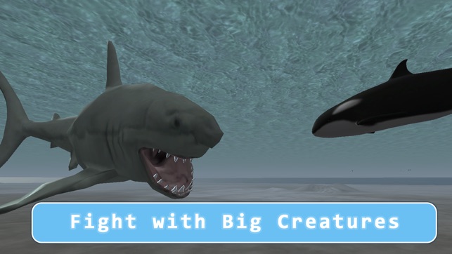 Orca Killer Whale Survival Simulator 3D - Play as orca, big (圖3)-速報App