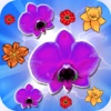 Beatufull Blossom Mania Mart Game