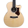 Play Acoustic Guitar pour PC