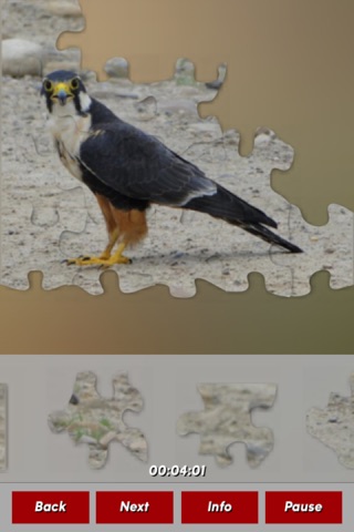 Birds Jigsaw Puzzles screenshot 4