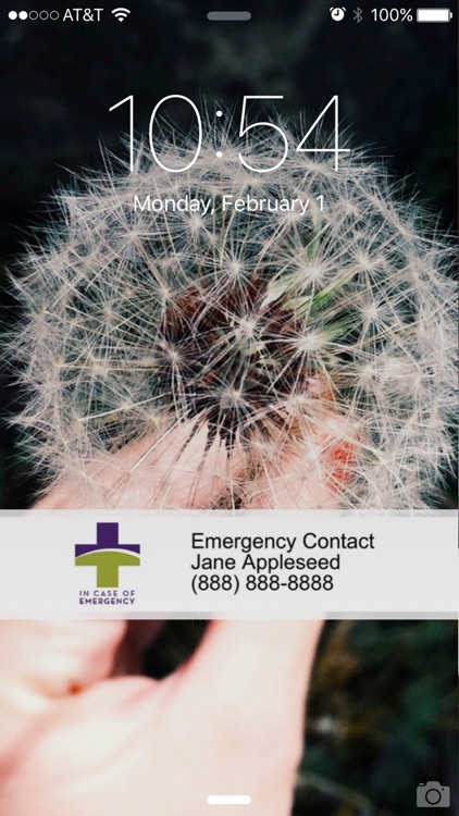 Silver Cross I.C.E. App