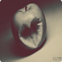 صور زخارف وتصاميم رائعة pour PC