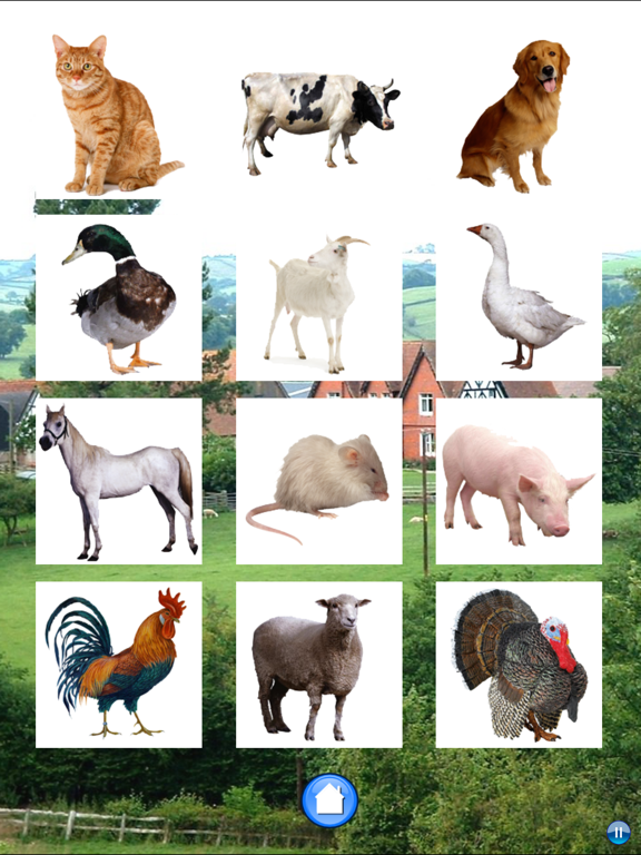 Звуки животных с фермы для iPad
