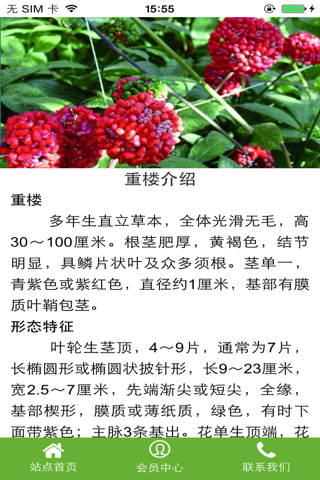 重楼网APP screenshot 3