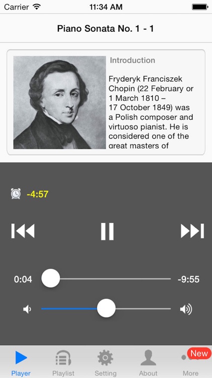 Piano Sonata by Chopin