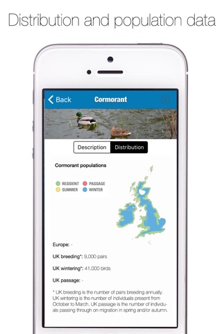 UK Seabird Guide screenshot 4
