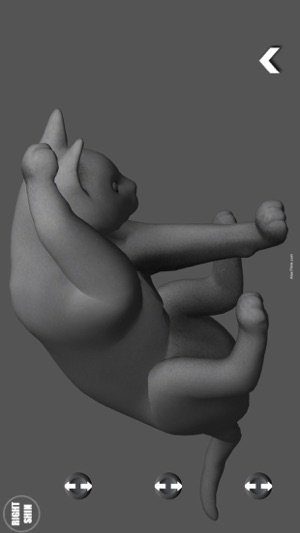 Cat Pose Tool 3D(圖3)-速報App