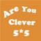 Are You Clever - 5X5 Puzzle