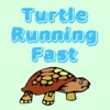 Turtle Running Fast