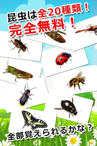 みんなの昆虫カード screenshot 2