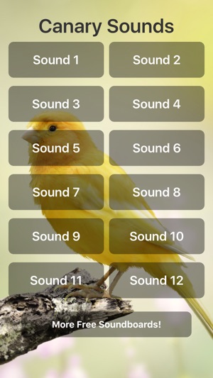 Canary Sounds(圖1)-速報App