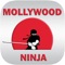 Icon Mollywood Ninja