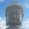 Gautama Buddha Quotes & Buddhism in pdf ebook, Buddha Pictures & Wallpapers