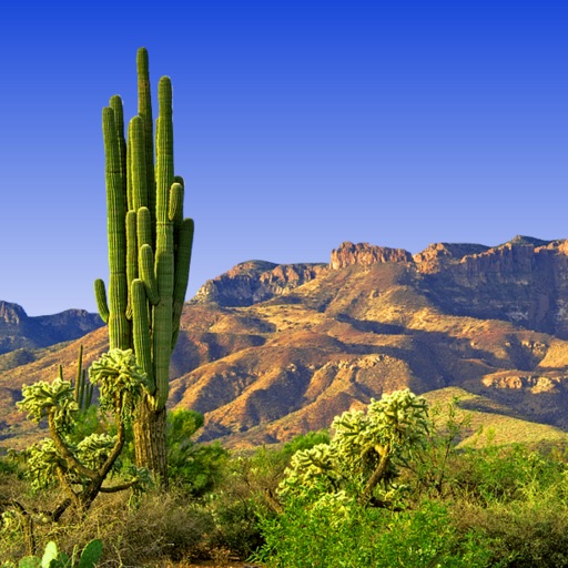 Sabino Canyon Trail Map Offline