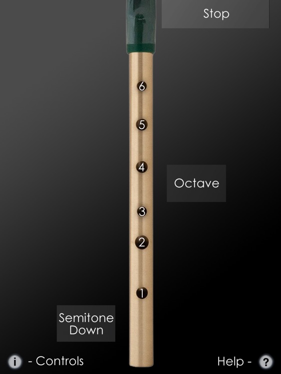 Tin Whistle Pro - Traditional Irish Whistle in Multiple Keys + Effects