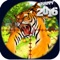 Sniper Deer Animal Hunt-ing : Shooting Jungle Wild Beast Challenge 3D