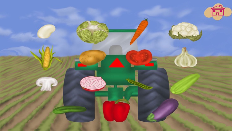 Vegetables Catch & Learn screenshot-4