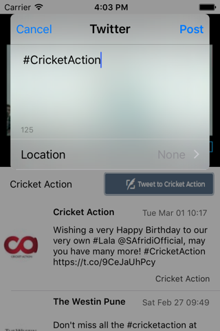 Cricket Action screenshot 3