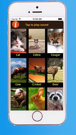 Real animal sounds(圖2)-速報App