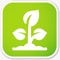 All information about plant species, their specification, appearance, life and habits