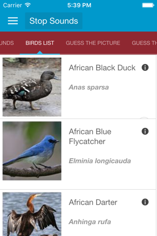 African Birds Sounds screenshot 3