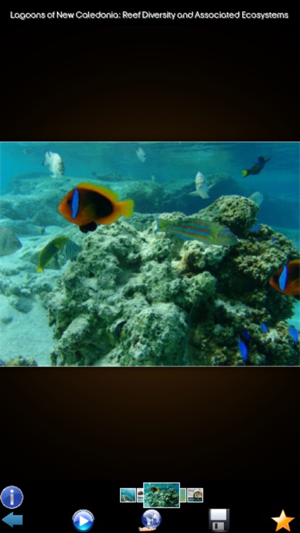 Unesco World Heritage France