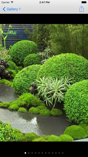 Best Japanese Garden(圖3)-速報App