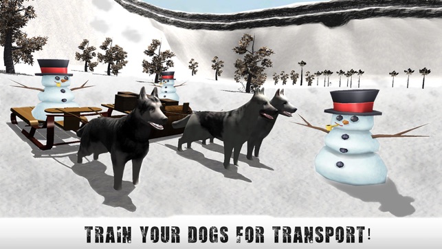 Winter Snow Dog Sledding Ski Simulator 3D(圖5)-速報App