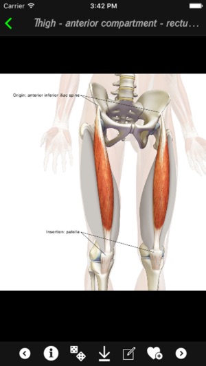 Human Muscles Info(圖3)-速報App