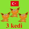 Kids Count Turkish