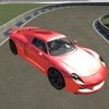 Icon 3D Adrenaline Racing - Porsche Edition