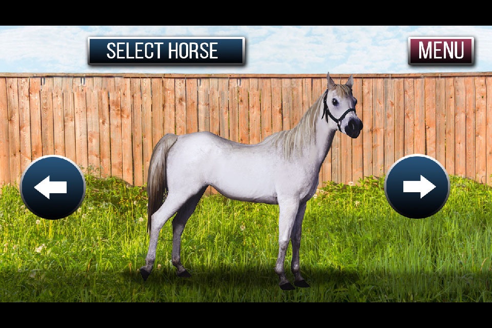 Drive Horse In City Simulator screenshot 2