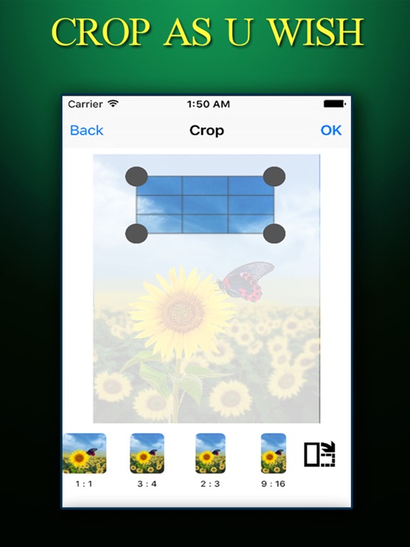 CROP PHOTO ++ Crop Photos Instantly With Effects Editing Tools App