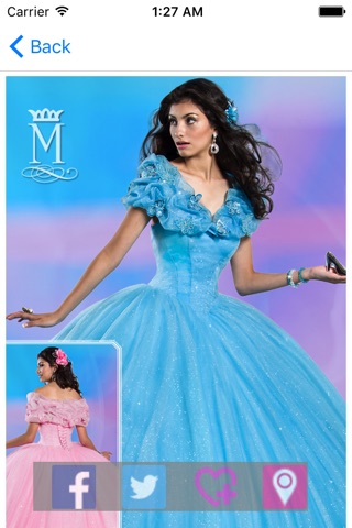 My Quince Dress screenshot 4