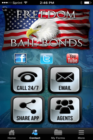 Freedom Bail Bonds screenshot 2