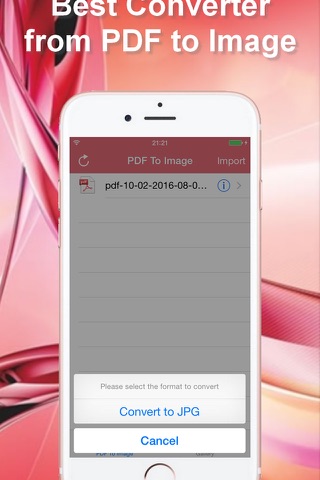 PDF To JPEG - Converter and Viewer - náhled