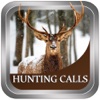 Hunting Calls:All in One