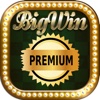 BIG WIN  PREMIUM CASINO Slots - Amazing Paylines Slot Machine