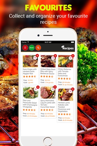 Yummy Grill Recipes Pro screenshot 4