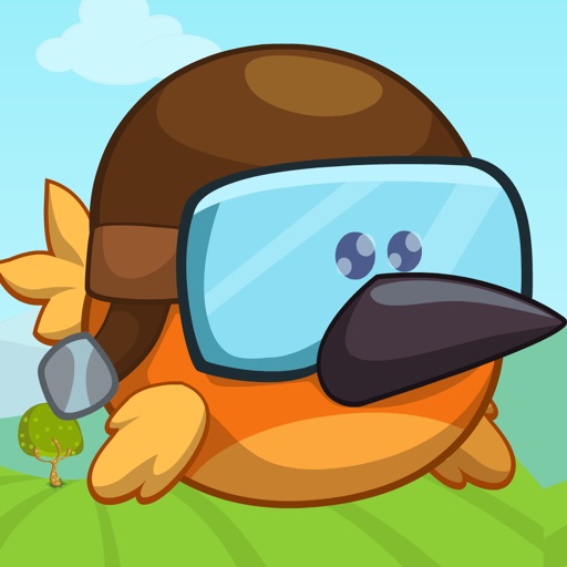 Fighter Birds iOS App